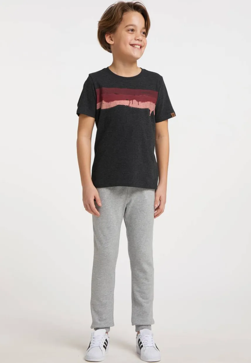 BARSY ORGANIC